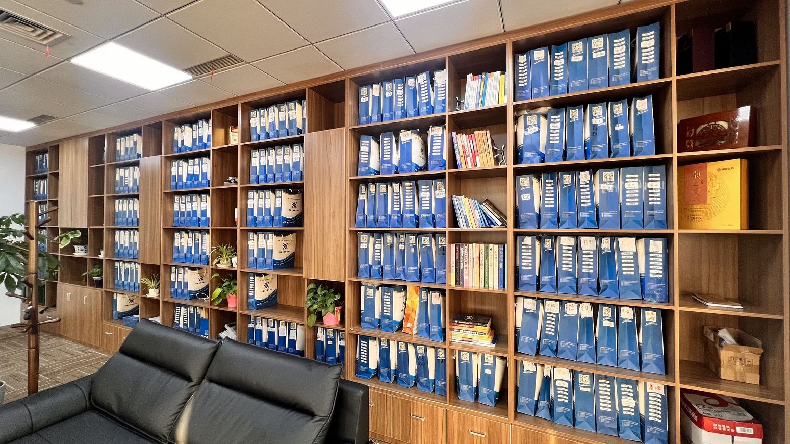 公司名称基本格式和结构？